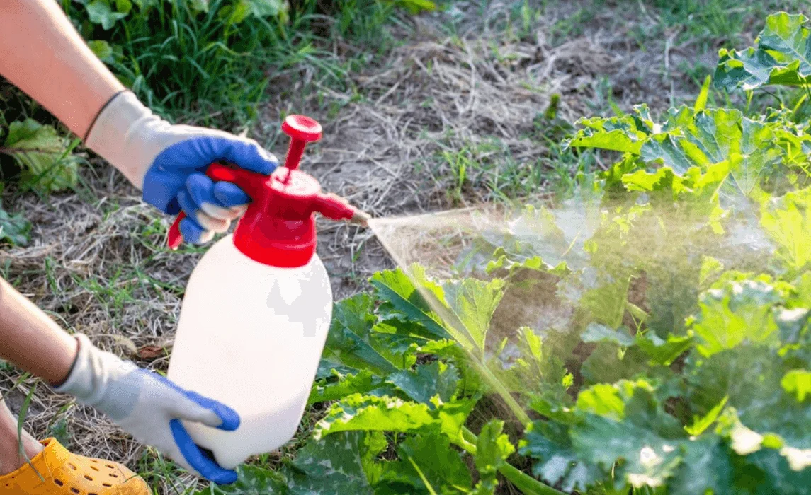 Deep Cleaning