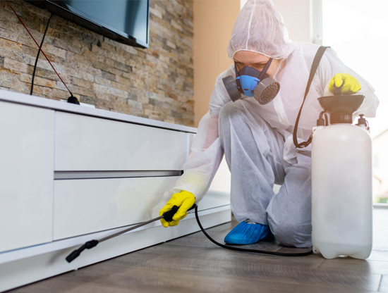 Deep Cleaning